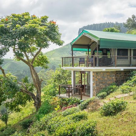 Madulkelle Tea And Eco Lodge Κάντι Εξωτερικό φωτογραφία
