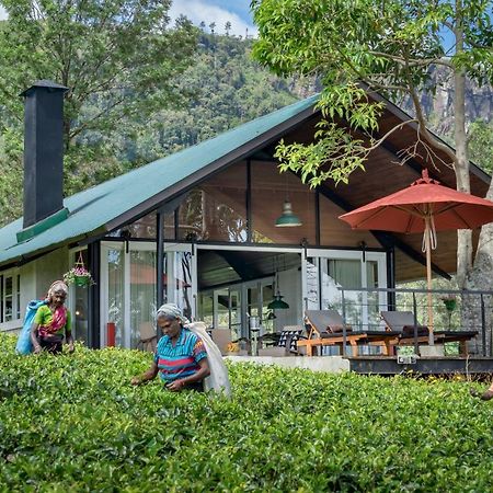 Madulkelle Tea And Eco Lodge Κάντι Εξωτερικό φωτογραφία