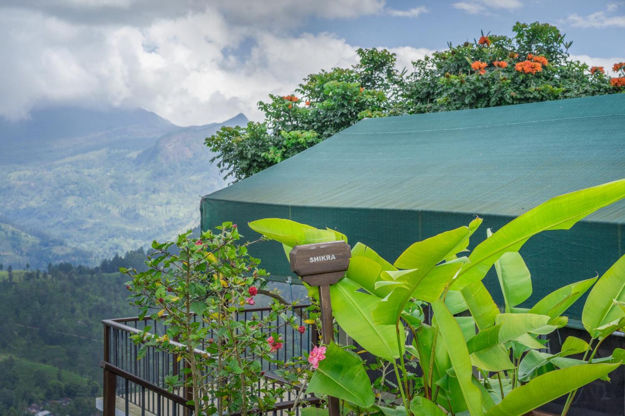 Madulkelle Tea And Eco Lodge Κάντι Εξωτερικό φωτογραφία