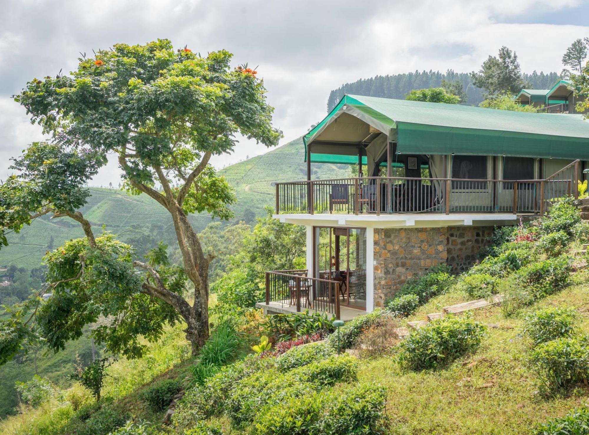 Madulkelle Tea And Eco Lodge Κάντι Εξωτερικό φωτογραφία