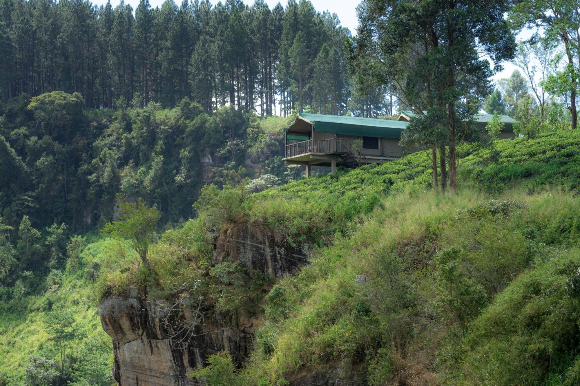 Madulkelle Tea And Eco Lodge Κάντι Εξωτερικό φωτογραφία