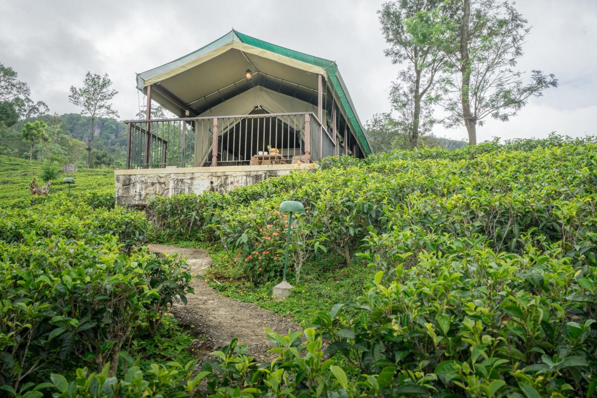 Madulkelle Tea And Eco Lodge Κάντι Εξωτερικό φωτογραφία