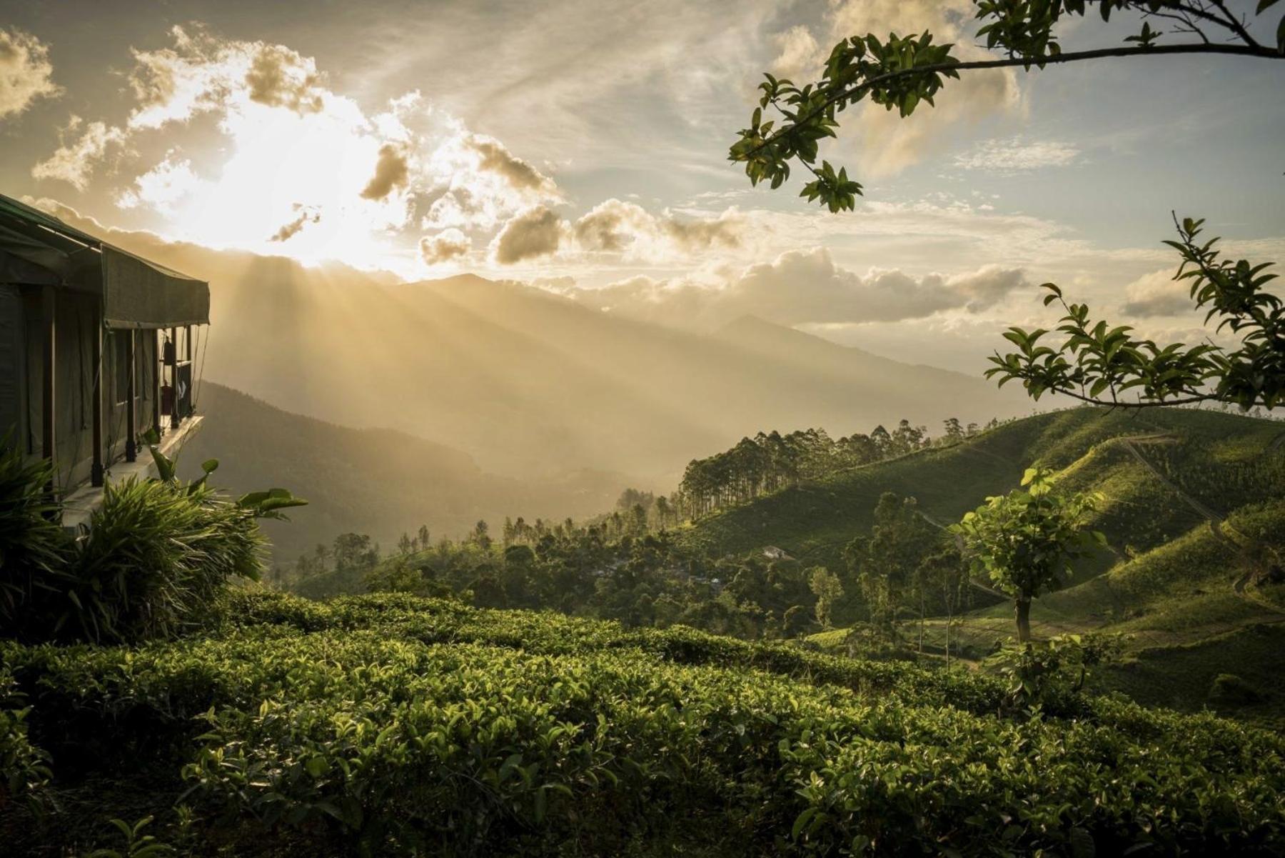 Madulkelle Tea And Eco Lodge Κάντι Εξωτερικό φωτογραφία