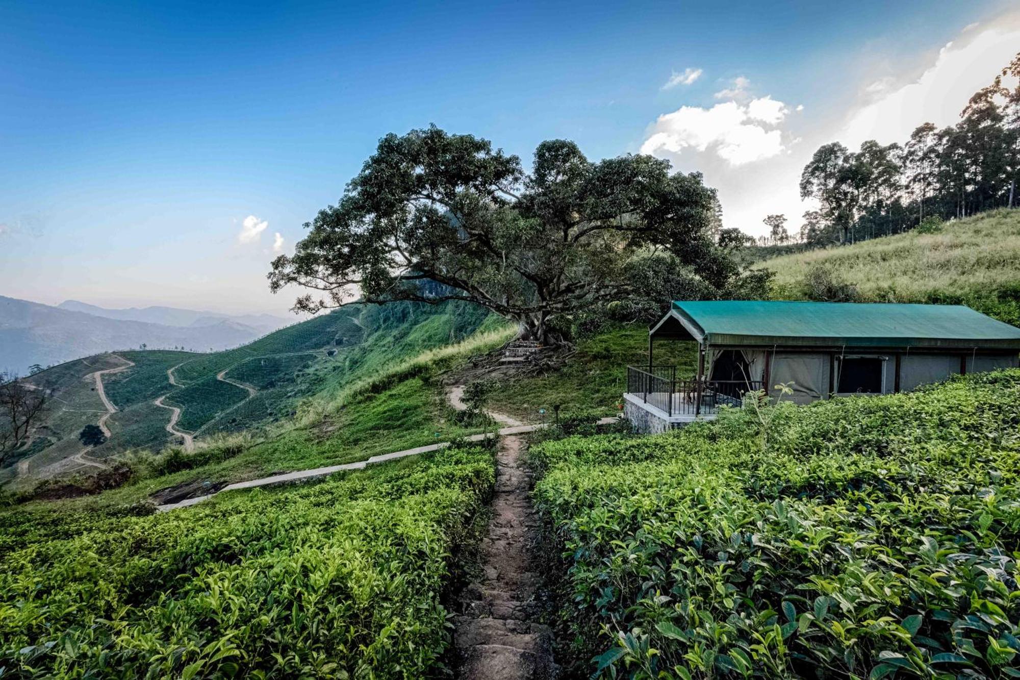 Madulkelle Tea And Eco Lodge Κάντι Εξωτερικό φωτογραφία